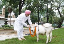 श्री गुरु राम राय विश्वविद्यालय पहुंची दुनिया की सबसे छोटी नस्ल की नैनो गाय, वैज्ञानिक शोध को मिला नया आयाम